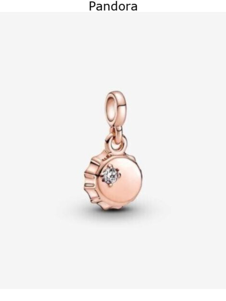 Pandora Charms 31$